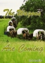 The Wagons Are Coming - 4 CD Audio Series
